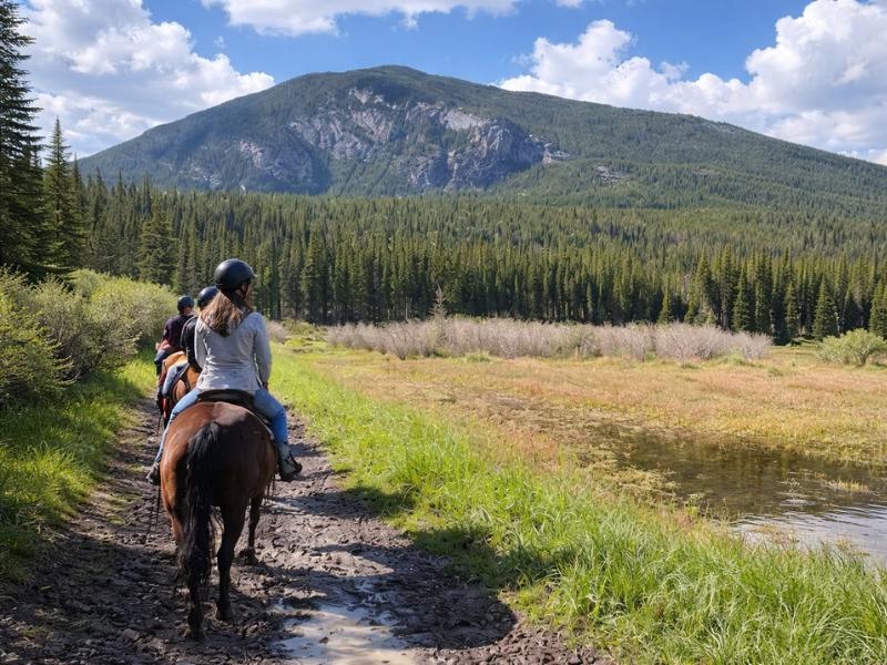 1-Hour Bow River Horseback Adventure in Banff National Park
