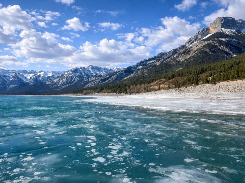 Abraham Ice Bubbles, Peyto Lake, Bow Lake & Ice Walk Full-Day Tour