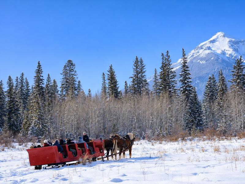 Banff Family-Friendly Horse-Drawn Sleigh Ride