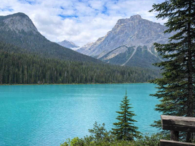 Banff National Park Highlights Tour: Banff Town + 4 Lakes & Canyon