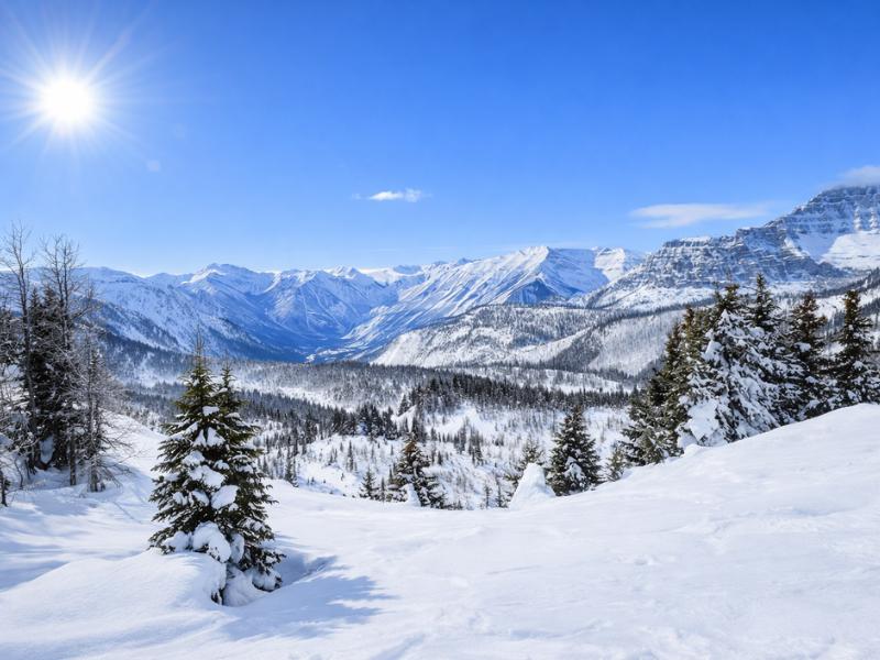 Banff Sunshine Meadows Guided Snowshoeing Experience