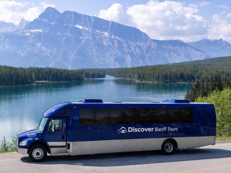 Banff Wildlife & Sightseeing Minibus Tour