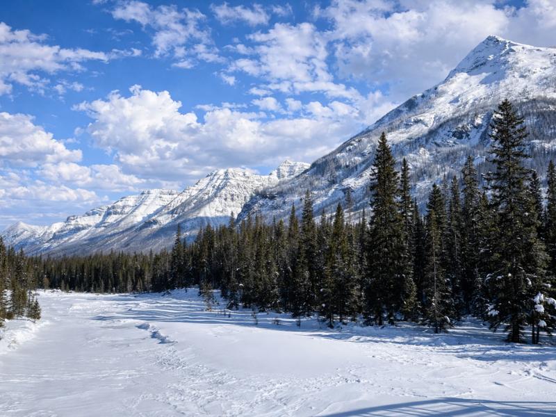Banff to Kootenay: Guided Snowshoeing Adventure Tour